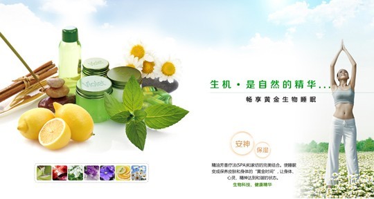 紫羅蘭生機(jī)家紡筑健康睡眠首道防線