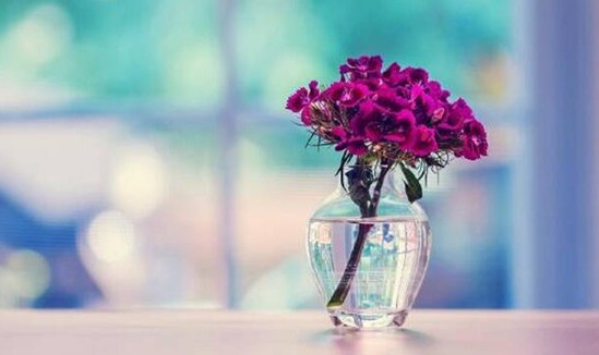 _mҼz˲gỬڻ